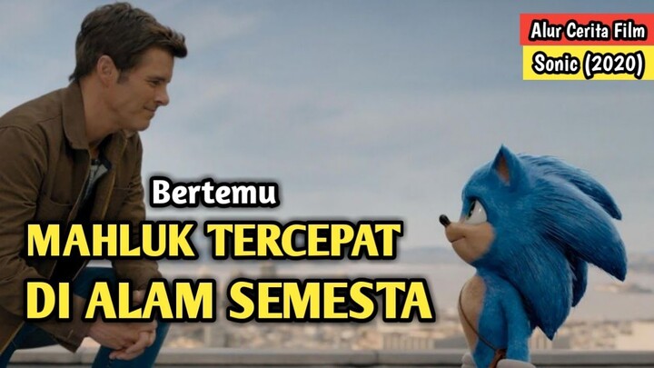 MAHLUK ASING DARI PLANET LAIN..!!! || Alur Cerita Film Sonic The Hedgehog (2020)