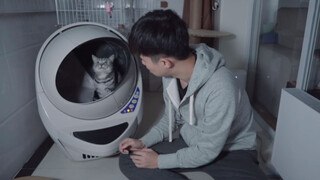 Máy dọn vệ sinh tự động cho mèo 5000 tệ, thật là tiện lợi