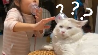 [ĐỘNG VẬT] Động vật vui nhộn 28