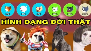 PLAY TOGETHER | HÌNH DẠNG NGOÀI ĐỜI THẬT CÁC LOÀI CHÓ TRONG PLAY TOGETHER SẼ RA SAO ?