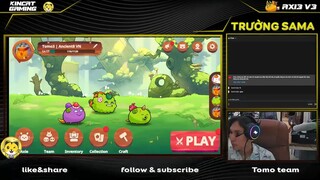 KINCAT GAMING-Axie v3- Top 1 thế giới game axie đánh cực hay