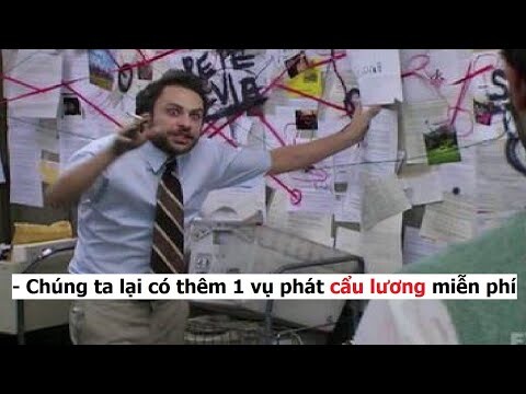 Dương Luật Official - Cẩu lương Everywhere #49| Lại là cẩu lương :((