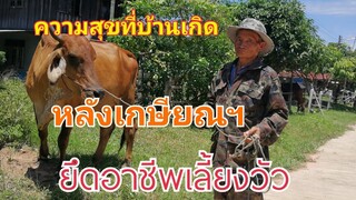 ความสุขกับการเลี้ยงวัว หลังวัยเกษียณฯ ร.ท.ก้อน เคณคำภา |CHATGEN CHANNEL |