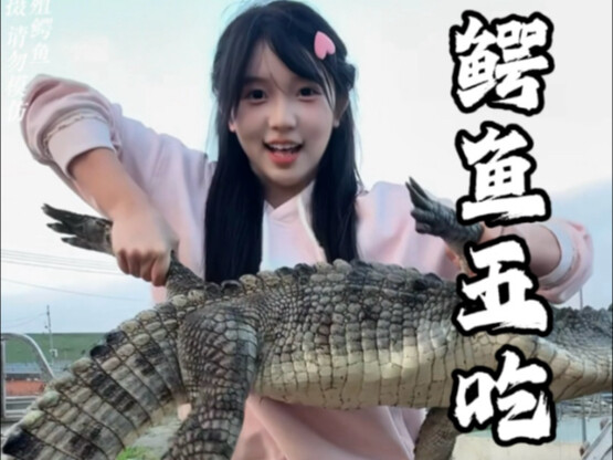 التمساح الكبير الذي يُربّى في هاينان مطيع ومستأنس، ولا رائحة زفارة له، ولحمه لذيذ ومرن ومطاطي، لكن ق