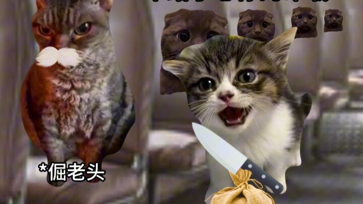 شريك صامت