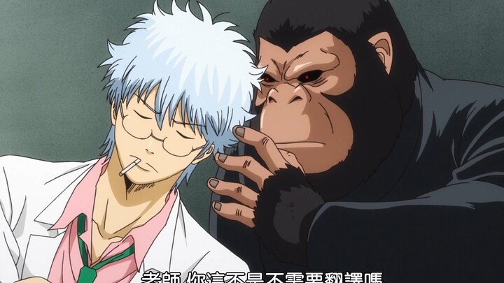 Gintama - Class 3-Z, Mr. Gintoki - Gintama: Ending Explanation Arc