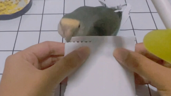 Gà hủy giấy thời lượng pin siêu dài