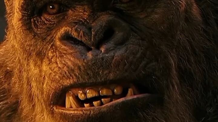 KONG VS SCAR KING