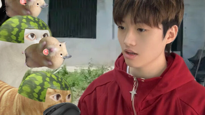 Cat catches mouse for a reward, but ends up in a feud with the mouse!