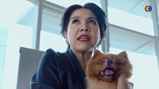 ถ้าต้องจ้างเธอ จ้างหมาดีกว่า!!!!