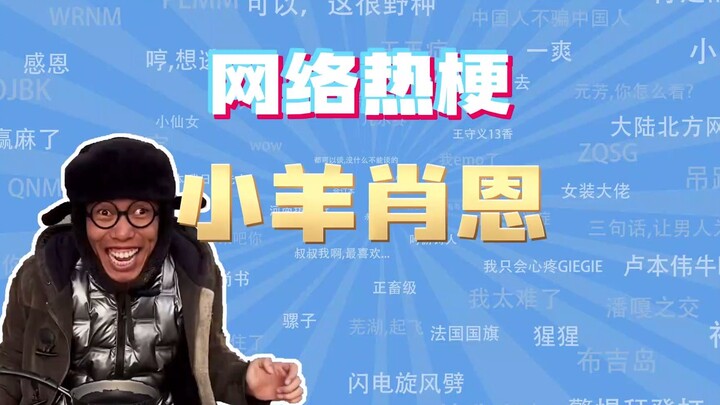 【网梗课代表】小羊肖恩是什么梗？