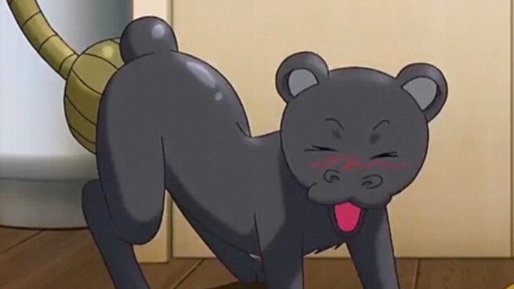 ตัวสกั๊งค์ตดอย่างหนักเพื่อต้มน้ำในหม้อ