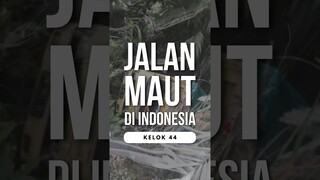 Lagi-lagi di Sumatera! JALANAN MAUT KELOK 44.