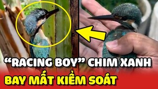 "RACING BOY" Chim Xanh KHÔNG KIỂM SOÁT được TỐC ĐỘ và cái kết 😂 | Yêu Lu