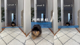 宝宝你是跨栏大师！