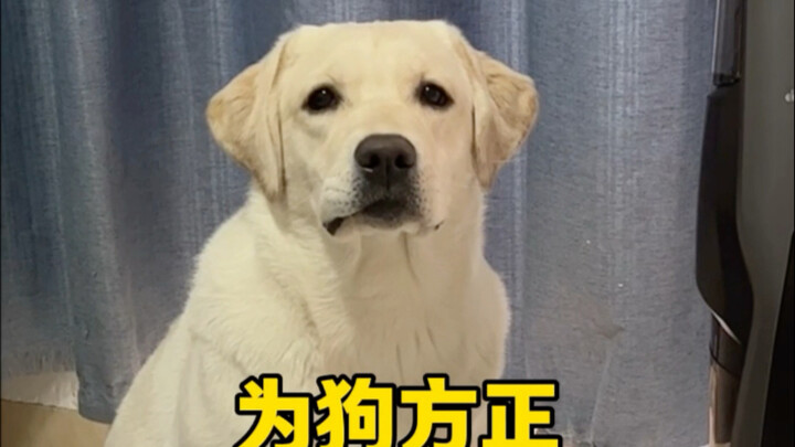 How come my whole family has buzz cuts??