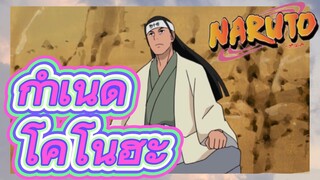 กำเนิด โคโนฮะ
