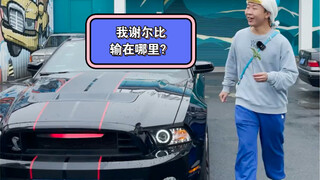 00后来采访我，可是，我谢尔比输在了哪里？？？