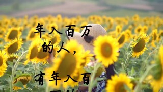 逻辑