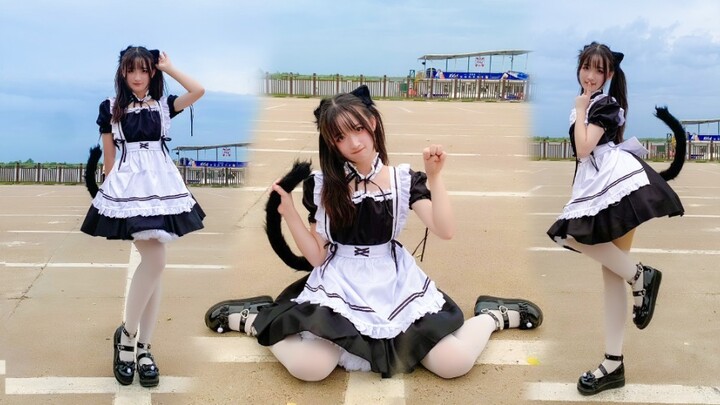 [Midou] Maid dressed catgirl jumps to the new treasure island