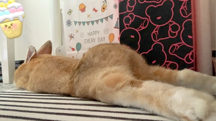 مؤخرة توتوي جميلة جدًا يا للهول!!!