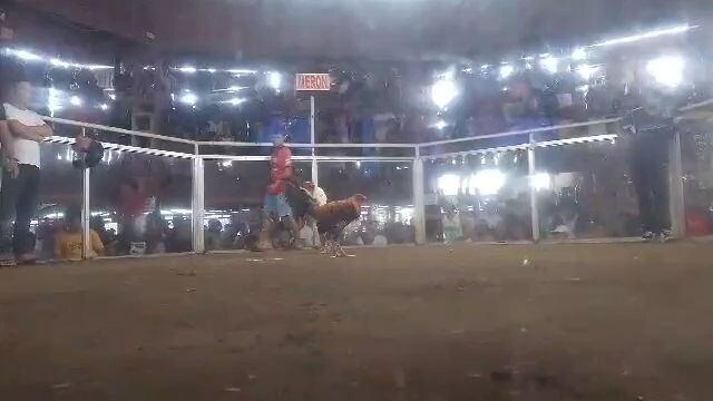 33k parada ng kalaban personal banded,, bulik Ang sa akin