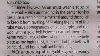 Daily Verse.        Exodus 28:31-39