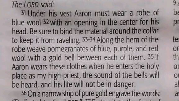 Daily Verse.        Exodus 28:31-39