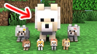 Monster School : A HUGE DOG - Minecraft Animation
