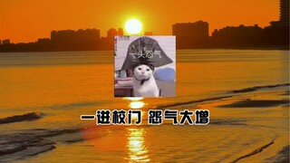 当 代 学 生 的 反 差