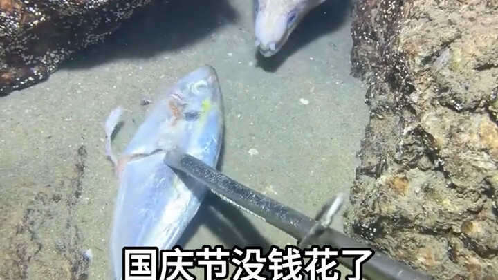 Trí tuệ đỉnh cao, xem xong mà không cười mới là chuyện này!