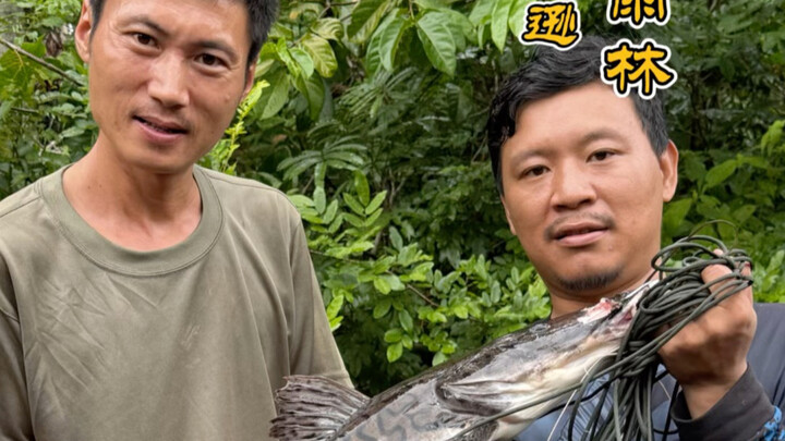 สำรวจป่าดงดิบแอมะซอน ตอนที่ 3: ทดสอบความสำเร็จในการจุดไฟหลอดไฟด้วยปลาไหลไฟฟ้า