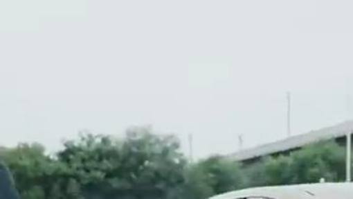 (2024) 影帝的闪婚娇妻她藏不住了 [Flash Marriage With The Movie Emperor]