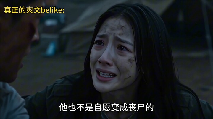 The Real爽 Novel of the Apocalypse