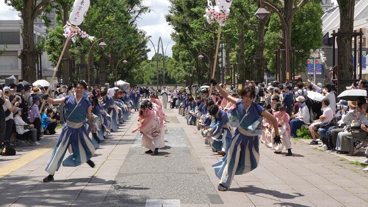 Đội Yosakoi Đại học Waseda Tokyo Hanabi “Tokiaruki” 📍Lễ hội Yosakoi tại Công viên Hikigayama (Đường 