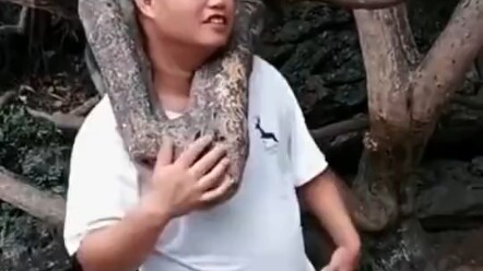 The tree branches in the scenic area are still there, but the old Katou brother is gone.