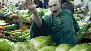 【HP】Điểm danh các loài sinh vật mới được đặt tên theo "Harry Potter"