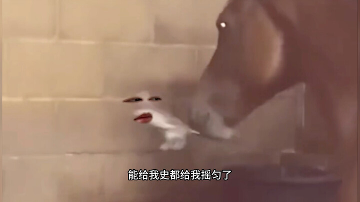 I'm just so annoyed by those rats