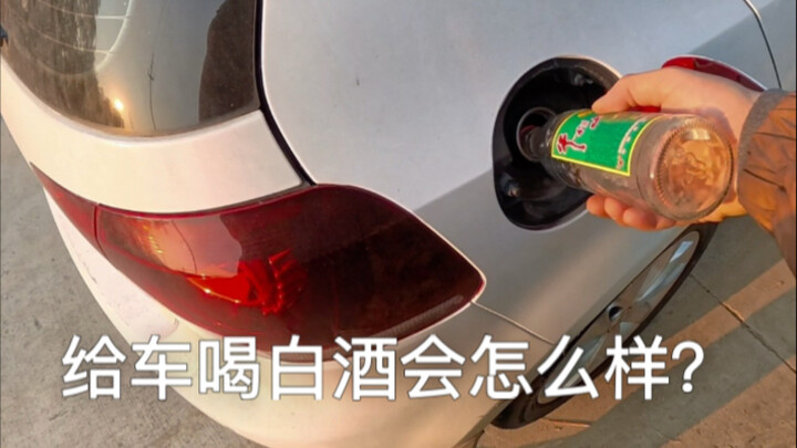What happens if you give a car白酒 to drink?
