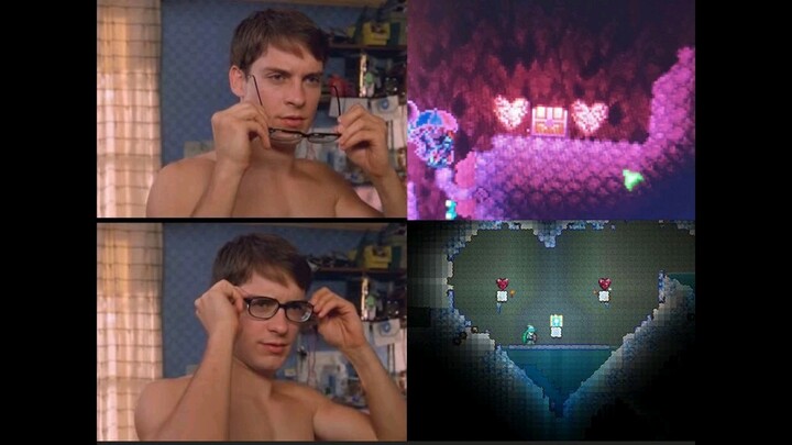 Terraria Gambar Meme yang Sangat Lucu #17