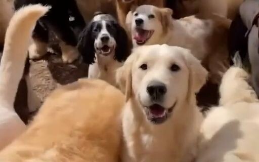 Xin hỏi đây có phải là cánh cửa dẫn tới thiên đường không? Cảm giác như chỉ cần qua màn hình thôi là