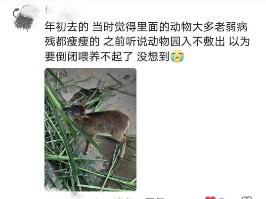 “Guangzhou Zoo” really is like a retirement home for the animals.