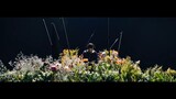 WONDERLAND - ATEEZ(에이티즈) MV