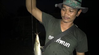 หาไสเบ็ดปลา หาจิโป่ม ปลาหลายมาก
