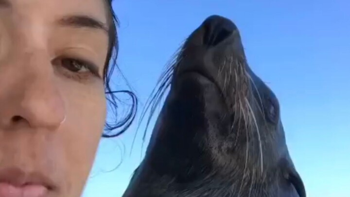 The Beauty of Living Beings, Evolving Through Performance 4