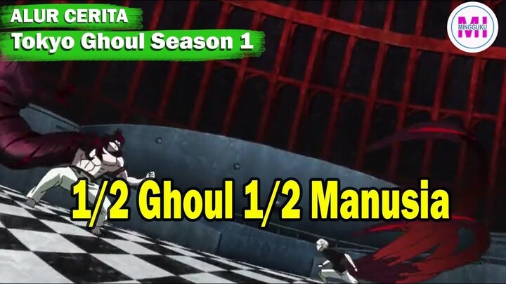 Setengah Ghoul Setengah Manusia - Alur Cerita Tokyo Ghoul Season 1