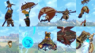 All Paragliding Animations - Hyrule Warriors: Age of Calamity (Including All DLC Characters)