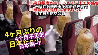 [เนื้อสุก] จิตวิญญาณไทย: ชาวญี่ปุ่นเพลิดเพลินกับการท่องเที่ยวญี่ปุ่นในแบบที่พวกเขาคิด | มีมแมว
