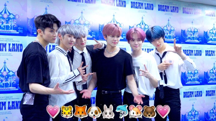 【NCT DREAM】Terima kasih telah menyayangi kami selama 7 tahun ini dan membuat kami begitu bahagia | C
