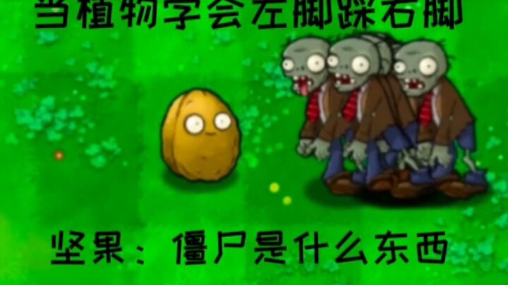 当植物学会左脚踩右脚